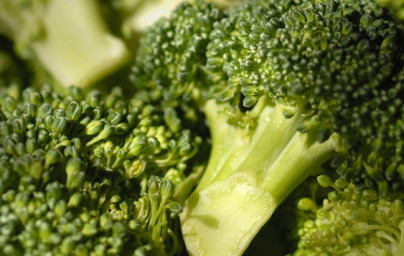 Brokolica (Brassica oleracea var. Italica) Brokolica (Brassica oleracea var. Italica)