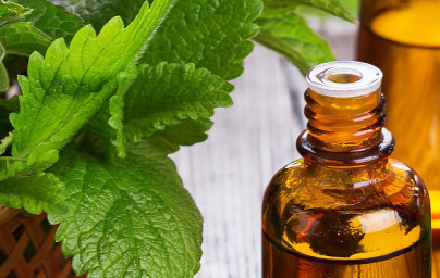 Mätový olej (Mentha x piperita)