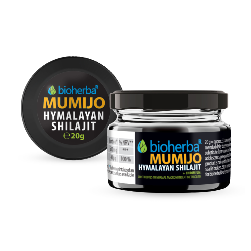 Shilajit (Mumijo) živica, 20 g