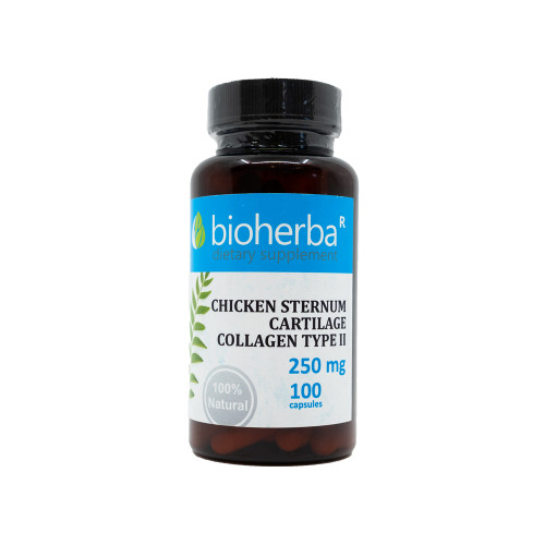 Kolagén typu II 250 mg, 100 kapsúl