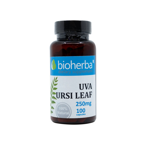 Medvedica lekárska (Uva ursi) 250 mg, 100 kapsúl