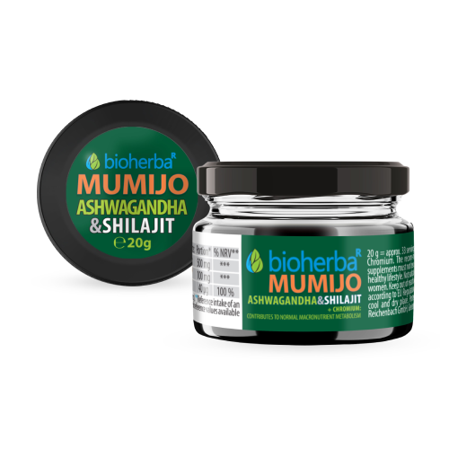 Shilajit (Mumijo) živica s ashwagandhou, 20 g