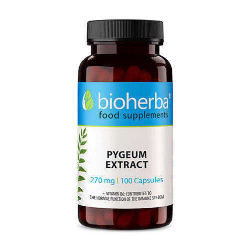 Afriška sliva - pygeum. - Africká slivka - pygeum.
