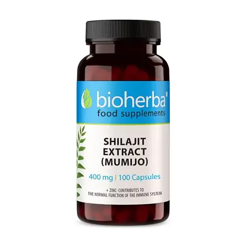 Shilajit (Mumia) - Prírodný doplnok stravy.