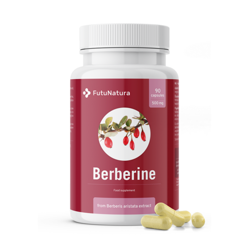 Berberín 500 mg z extraktu Berberis aristataBerberín 500 mg z extraktu Berberis aristata