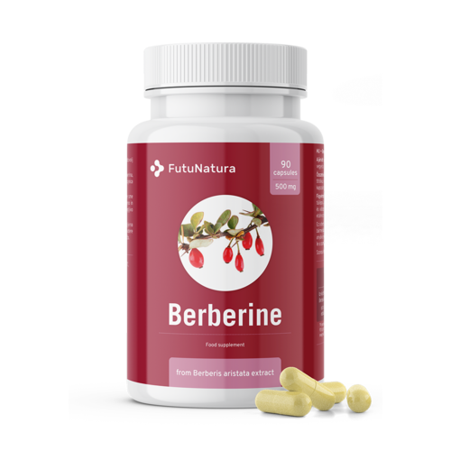 Berberín 500 mg, 90 kapsúl