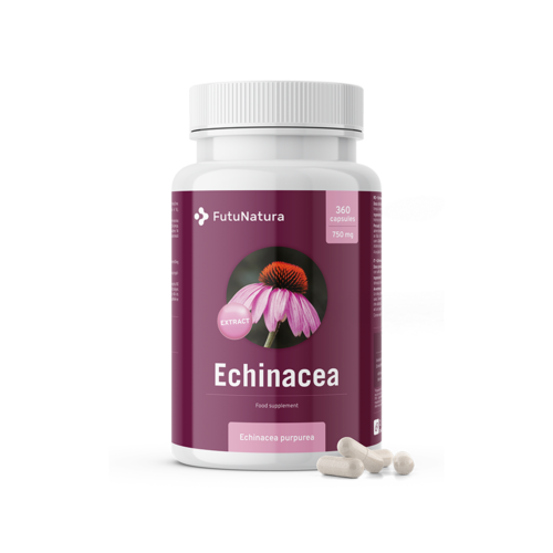 Echinacea - extrakt 10:1, 360 kapsúl