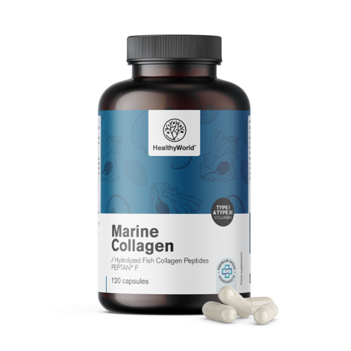 Morský kolagén 1170 mg, 120 kapsúl