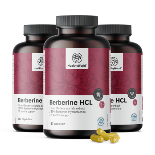 3x Berberín HCL 500 mg, spolu 540 kapsúl