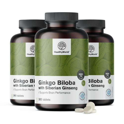 3x Ginkgo biloba so sibírskym ženšenom 6600 mg, spolu 1095 tabliet
