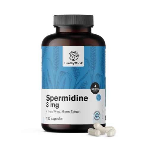 Spermidín 3 mg - z extraktu pšeničných klíčkov