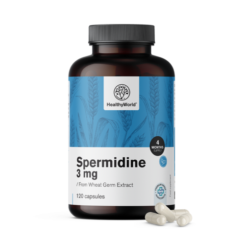 Spermidín 3 mg – z extraktu pšeničných klíčkov, 120 kapsúl