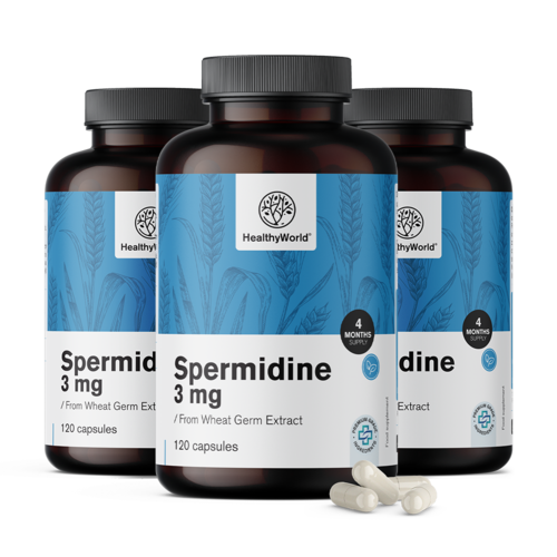 3x Spermidín 3 mg – z extraktu pšeničných klíčkov, spolu 360 kapsúl