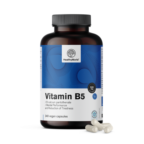 Vitamín B5 500 mg, 240 kapsúl