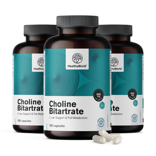 3x Cholín bitartrát 650 mg, spolu 540 kapsúl