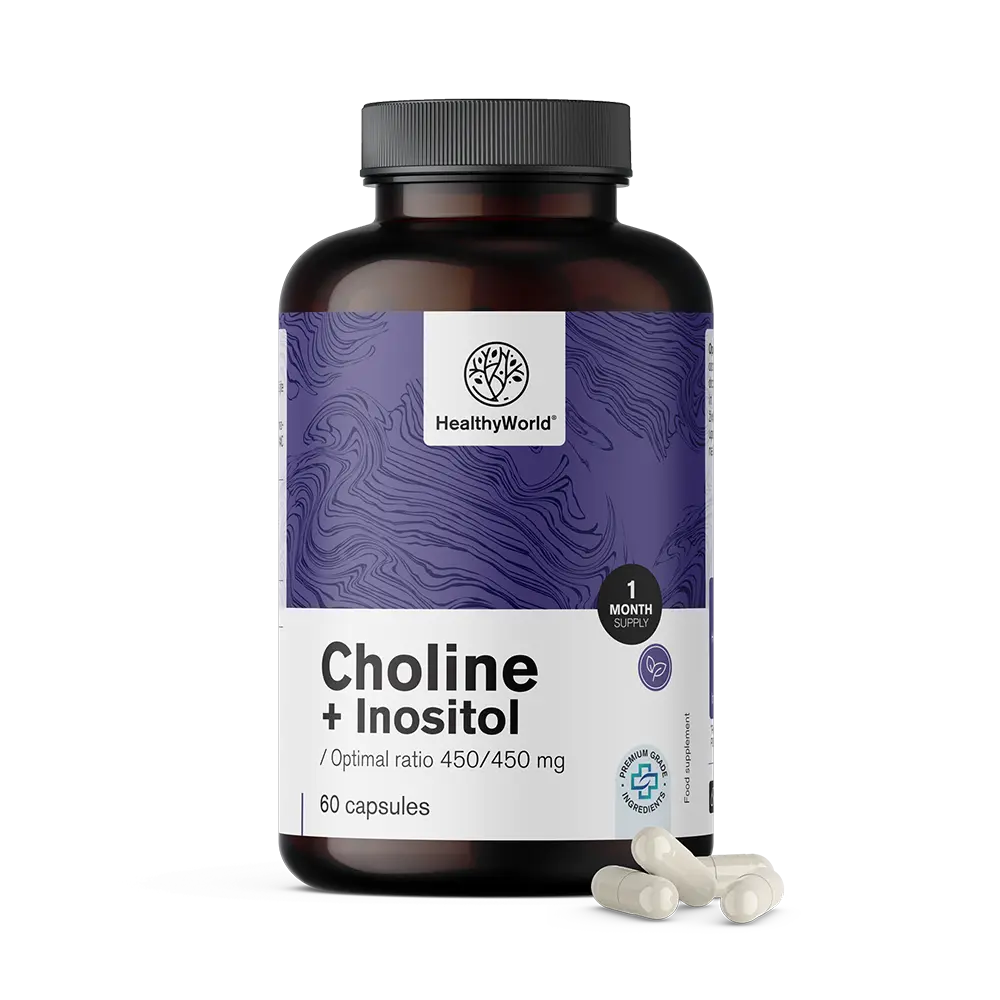 Cholín-inozitol 450/450 mg