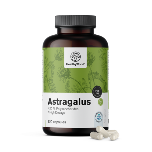 Astragalus – extrakt, 120 kapsúl