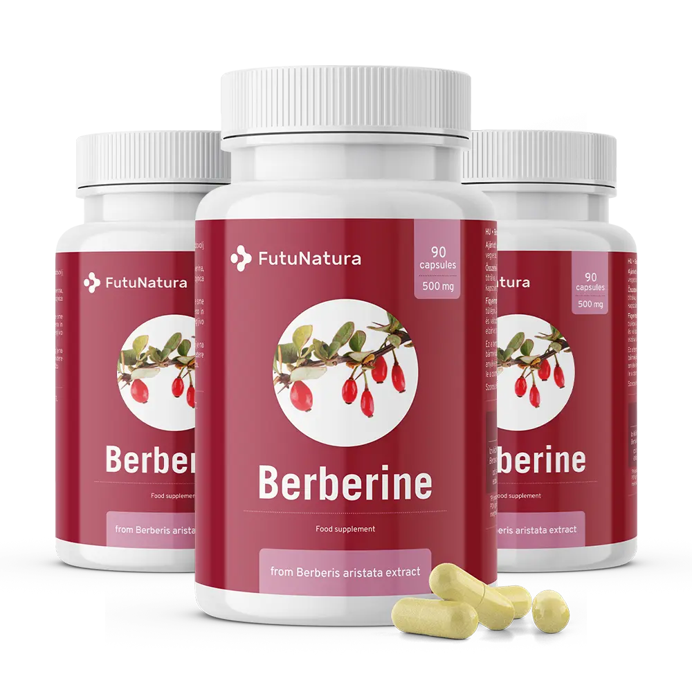 Berberin 500 mg  iz izvlečka Berberis aristata