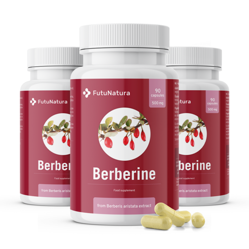 3x Berberín 500 mg, spolu 270 kapsúl