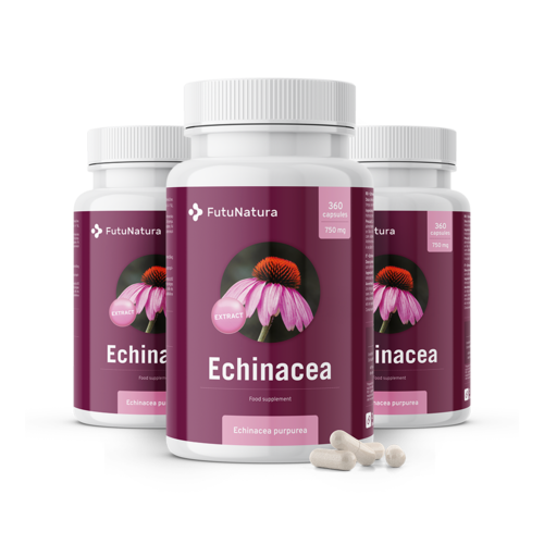 3x Echinacea - extrakt 10:1, spolu 1080 kapsúl
