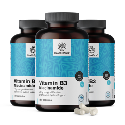 3x Vitamín B3 500 mg – niacínamid, spolu 540 kapsúl