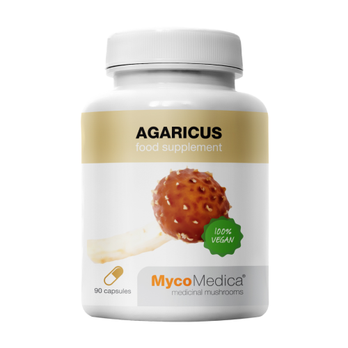 Agaricus huba.