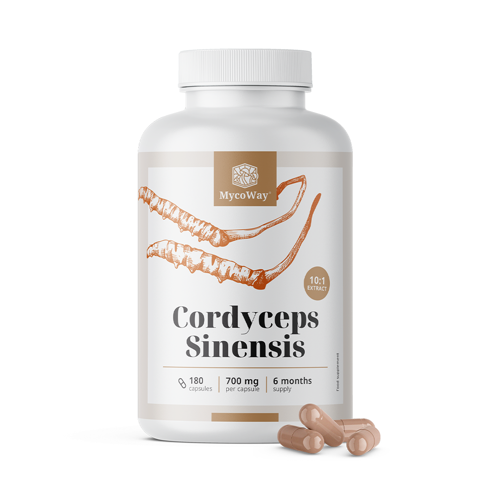 Cordyceps sinensis 1400 mg - extrakt 10:1.