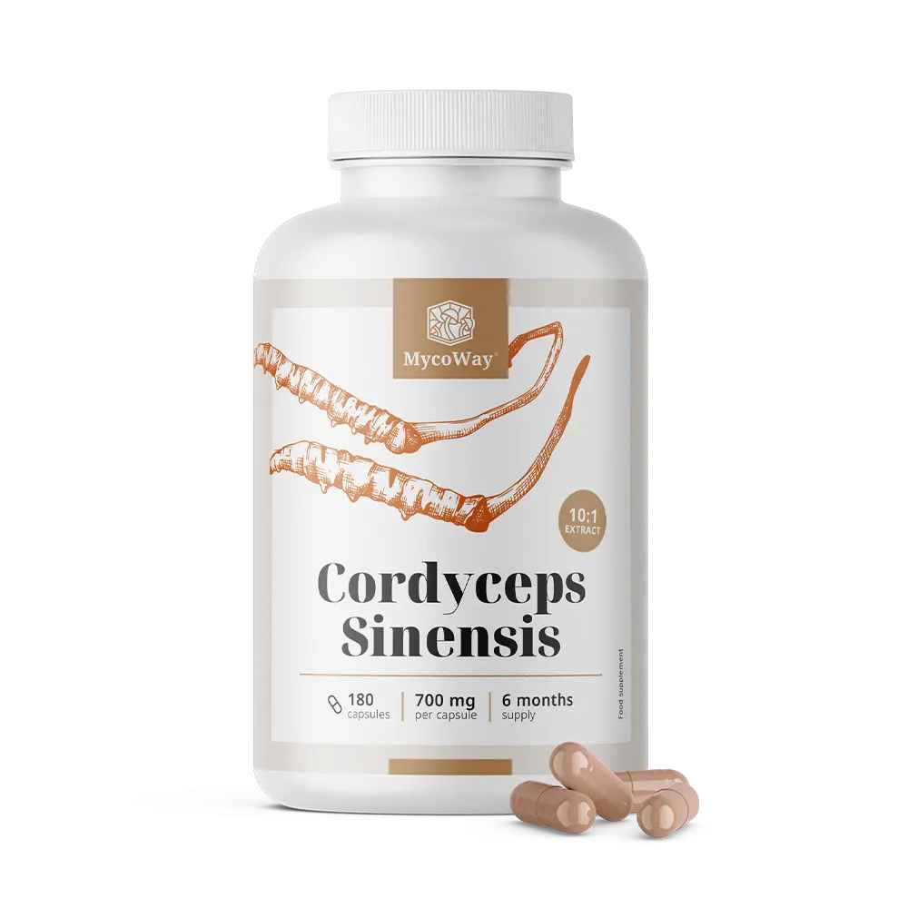 Cordyceps sinensis 1400 mg - extrakt 10:1.