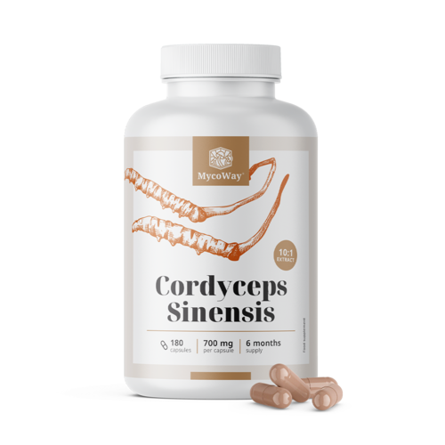 Cordyceps sinensis 1400 mg – extrakt 10:1, 180 kapsúl