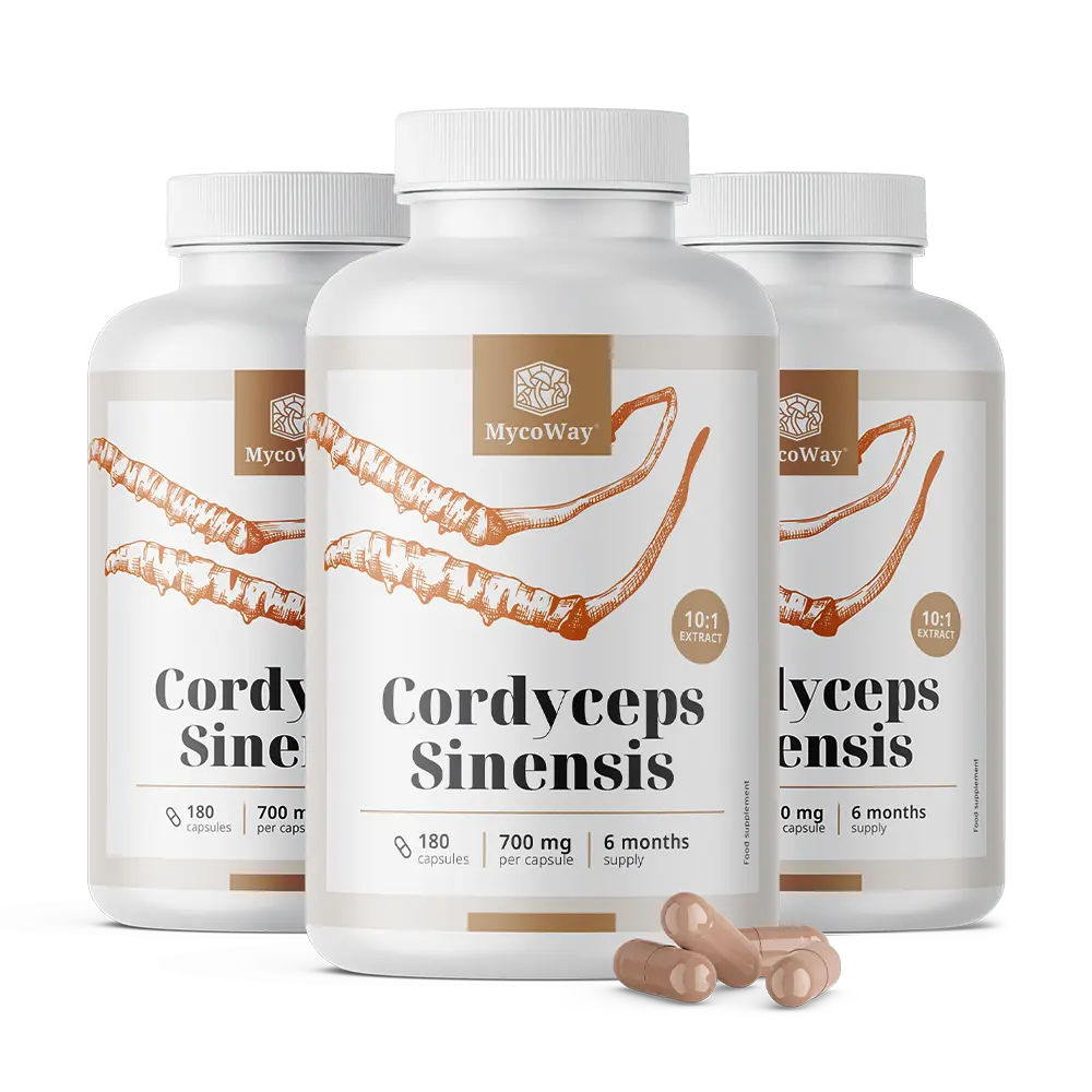 Cordyceps sinensis 1400 mg – extrakt 10:1