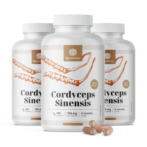 3x Cordyceps sinensis 1400 mg – extrakt 10:1, spolu 540 kapsúl