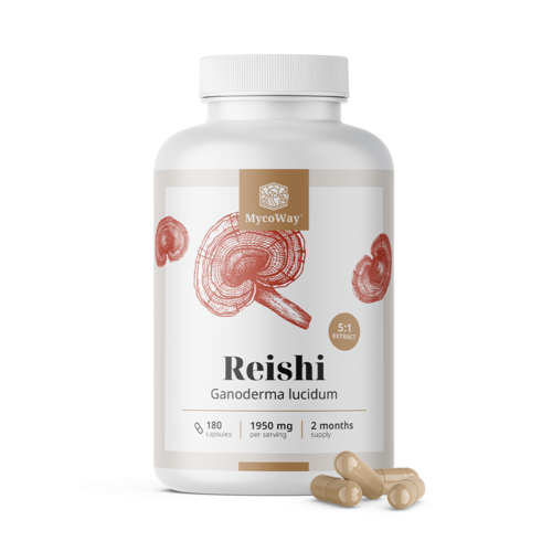 Reishi 1950 mg - extrakt 5:1, 180 kapsúl