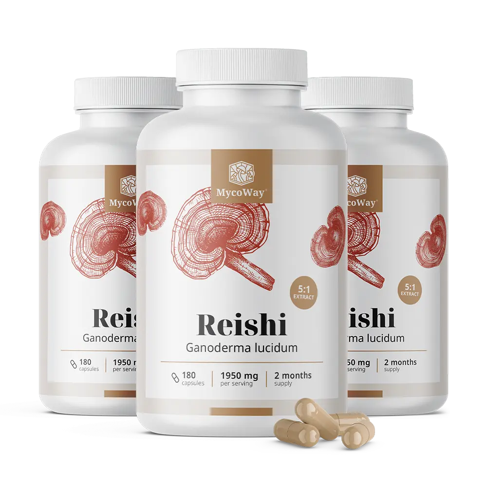 Reishi 1950 mg – extrakt 5:1