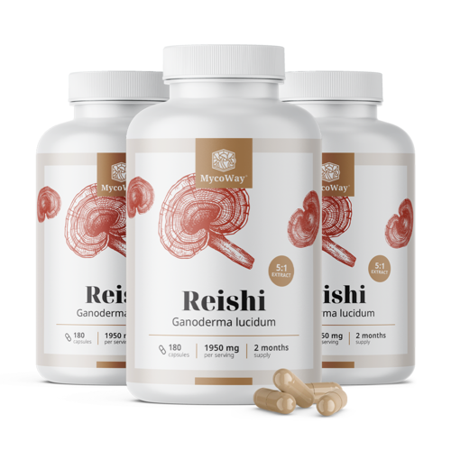 3x Reishi 1950 mg – extrakt 5:1, spolu 540 kapsúl