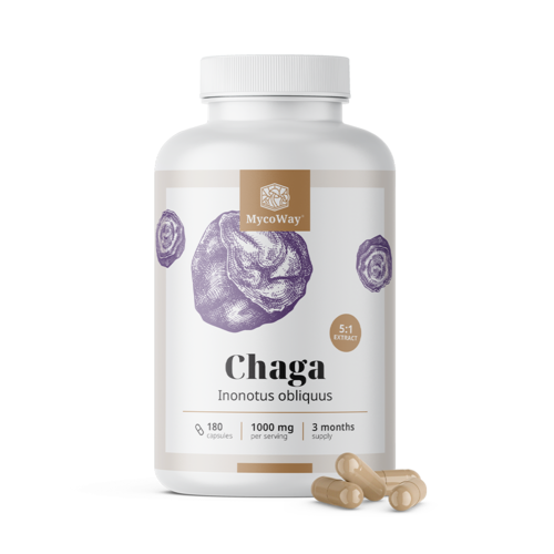 Chaga 1000 mg – extrakt 5:1, 180 kapsúl