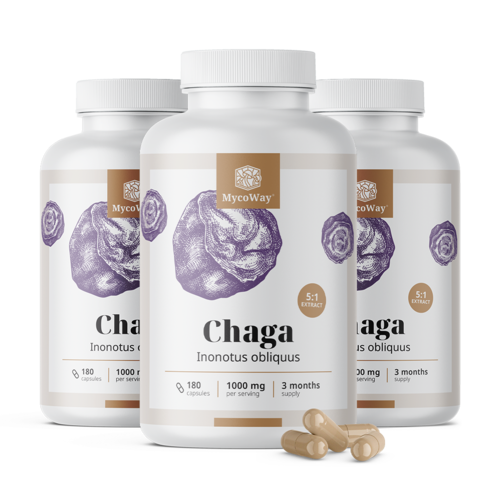 3x Chaga 1000 mg – extrakt 5:1, spolu 540 kapsúl