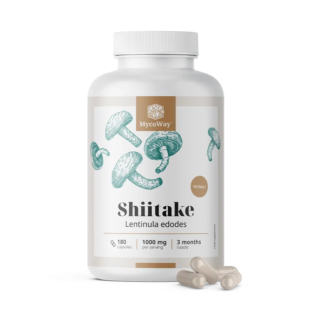 Shiitake 1000 mg - extrakt.