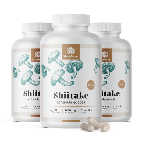 3x Shiitake 1000 mg – extrakt, spolu 540 kapsúl