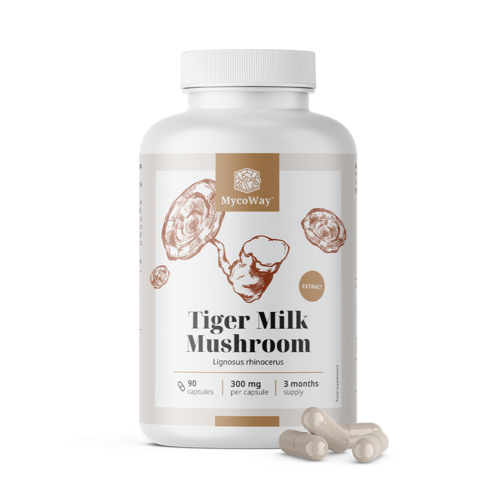 Tiger milk 300 mg - extrakt z huby Lignosus rhinocerus, 90 kapsúl