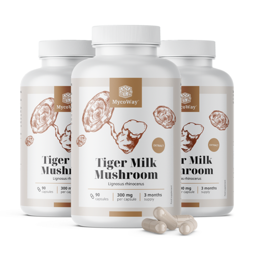3x Tiger milk 300 mg – extrakt z huby Lignosus rhinocerus, spolu 270 kapsúl