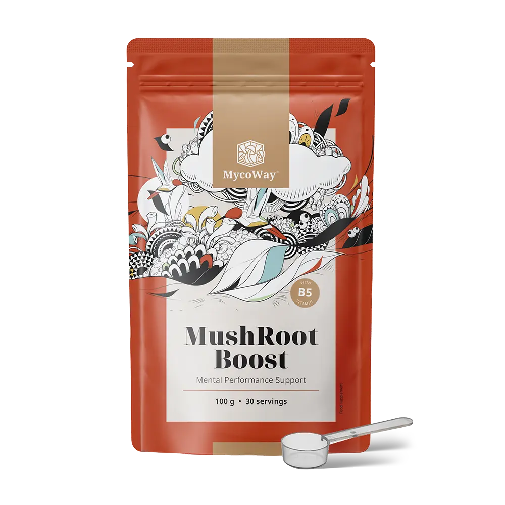MushRoot Boost - nápoj pre mentálnu výkonnosť