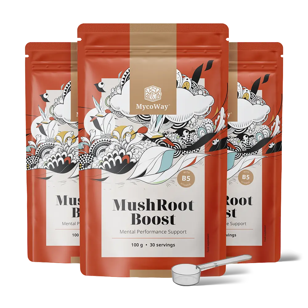 MushRoot Boost - nápoj pre mentálnu výkonnosť