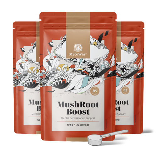 3x MushRoot Boost - nápoj pre mentálnu výkonnosť, spolu 300 g
