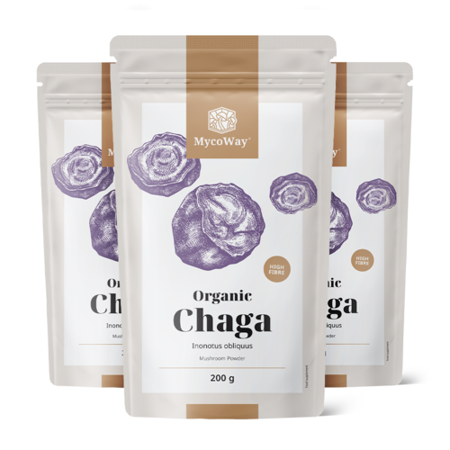 3x BIO Chaga v prášku, spolu 600 g