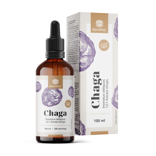 Chaga – extrakt v kvapkách, 100 ml