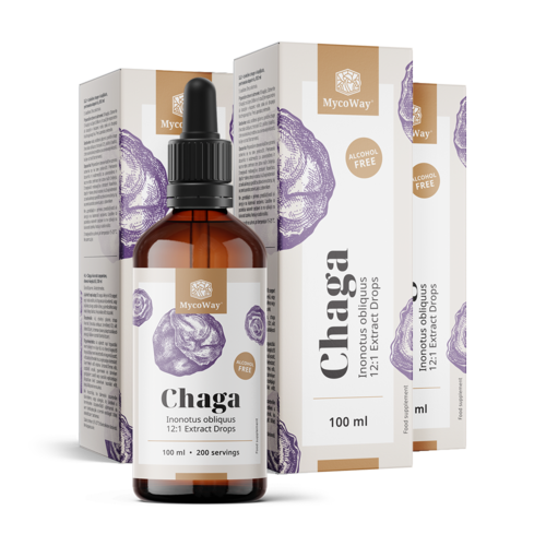 3x Chaga – extrakt v kvapkách, spolu 300 ml