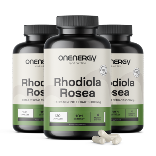 3x Rozchodnica ružová (Rhodiola) 5000 mg - extrakt, spolu 360 kapsúl