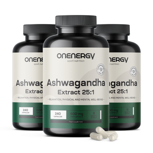 3x Ashwagandha 500 mg – extrakt 25:1, spolu 720 kapsúl