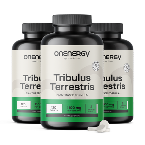 3x Kotvičník zemný (Tribulus) – extrakt 15:1, spolu 360 tablet